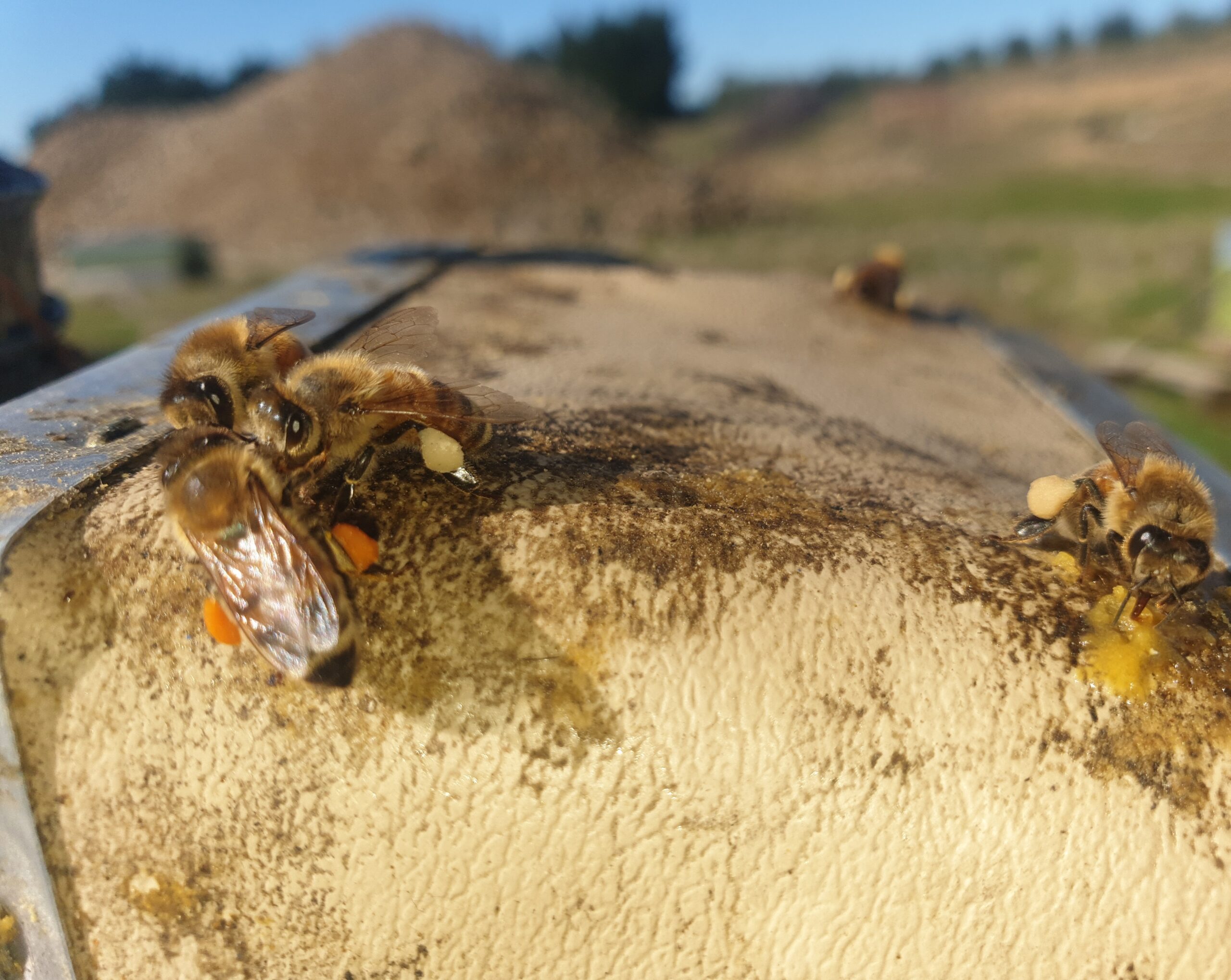 ApiLife landowner partnership